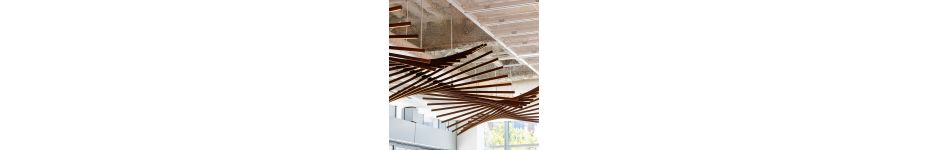 Articulation - San Diego Development