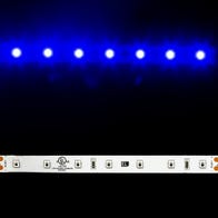 Performance 2835 LED Strip Light - Blue - 56/m - 5m Reel