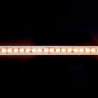 Dim-to-Warm 2216 LED Strip Light - 252/m - 1800K/3000K - 5m Reel