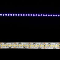Black Light UV 3528 Single Row LED Strip Light, 240/m, 10mm wide, by the 5m Reel