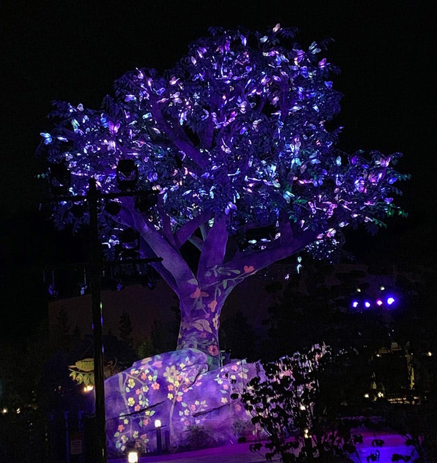 News Outdoor Lighting Wildwood Grove Tree at Dollywood